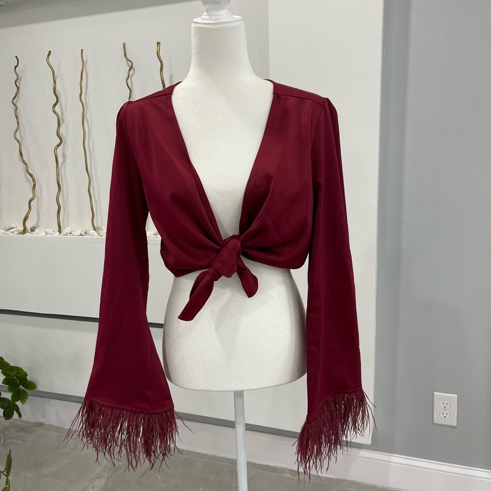 Wayf Deep Red Feather Trim Blouse